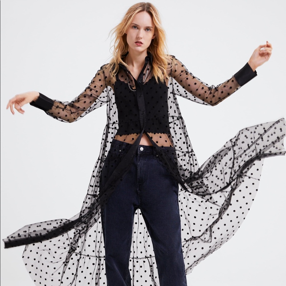 Zara sheer polka dress maxi